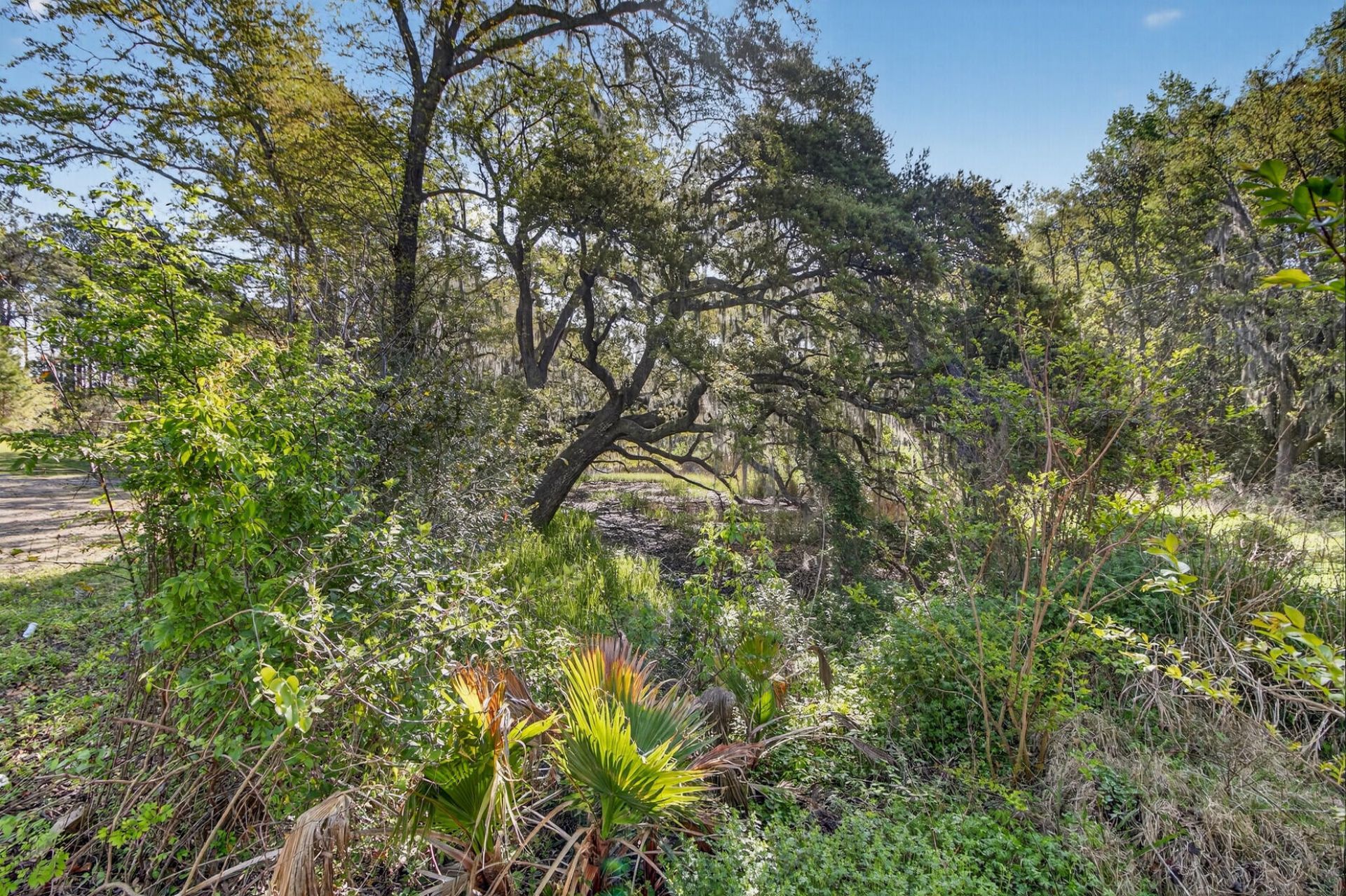 2907 River Road Photo 20