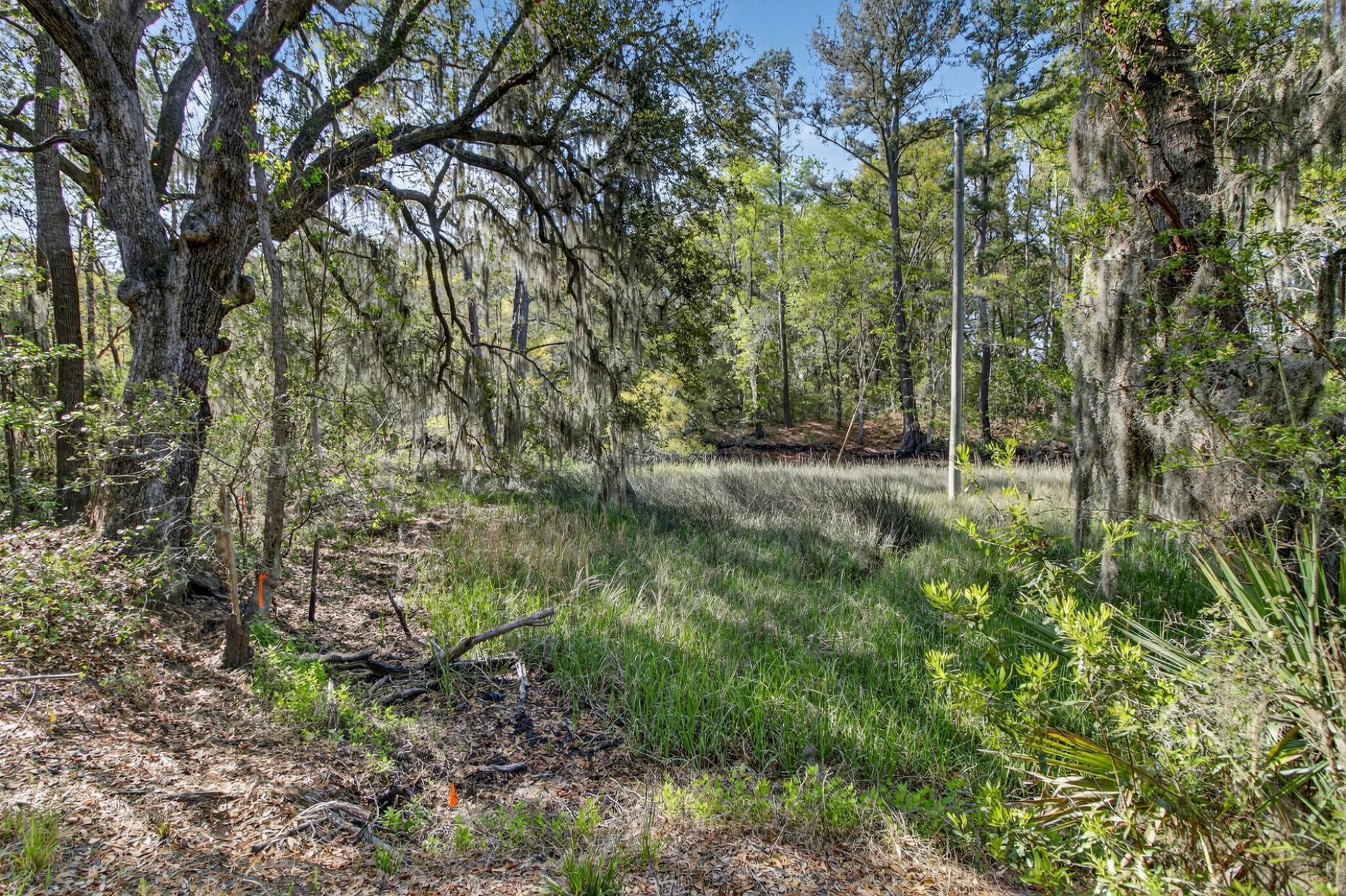 2907 River Road Photo 20