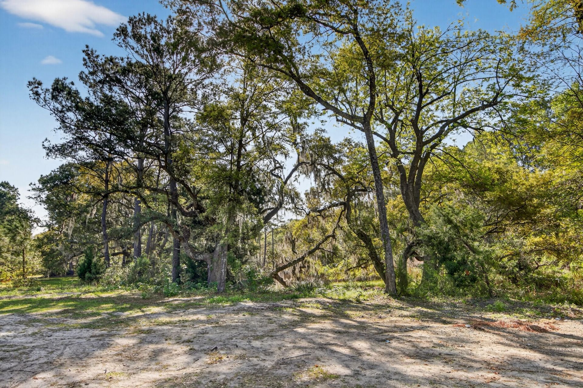 2907 River Road Photo 26