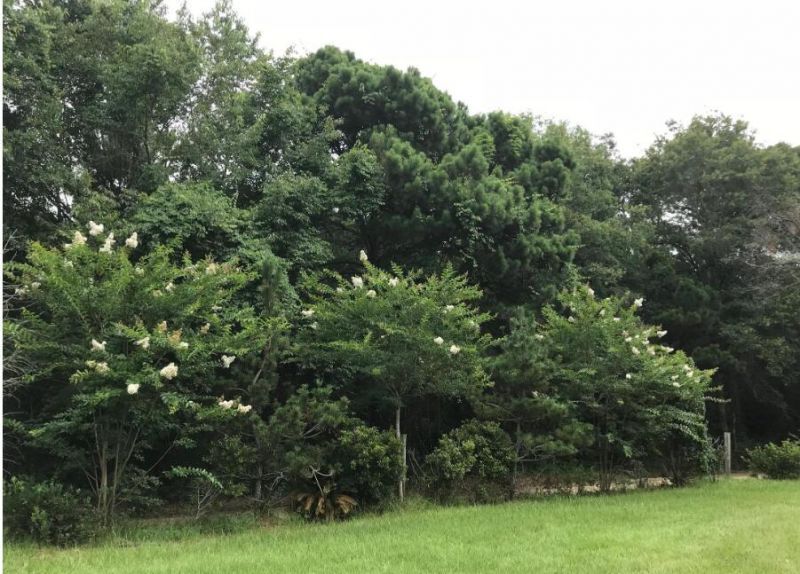 2907 River Road Photo 28