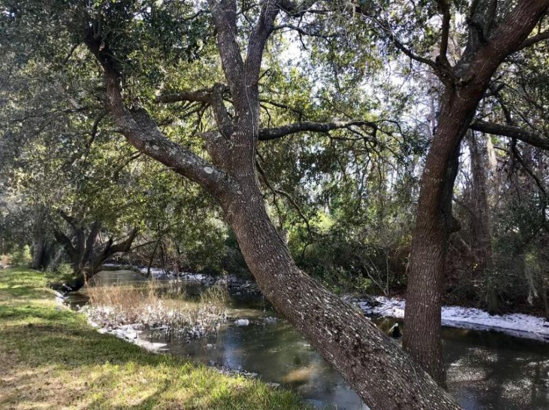 2907 River Road Photo 30