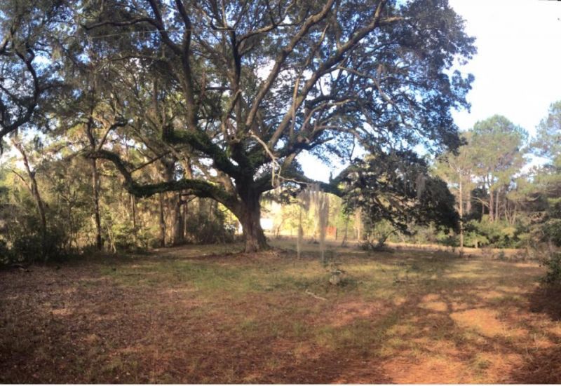 2907 River Road Photo 32