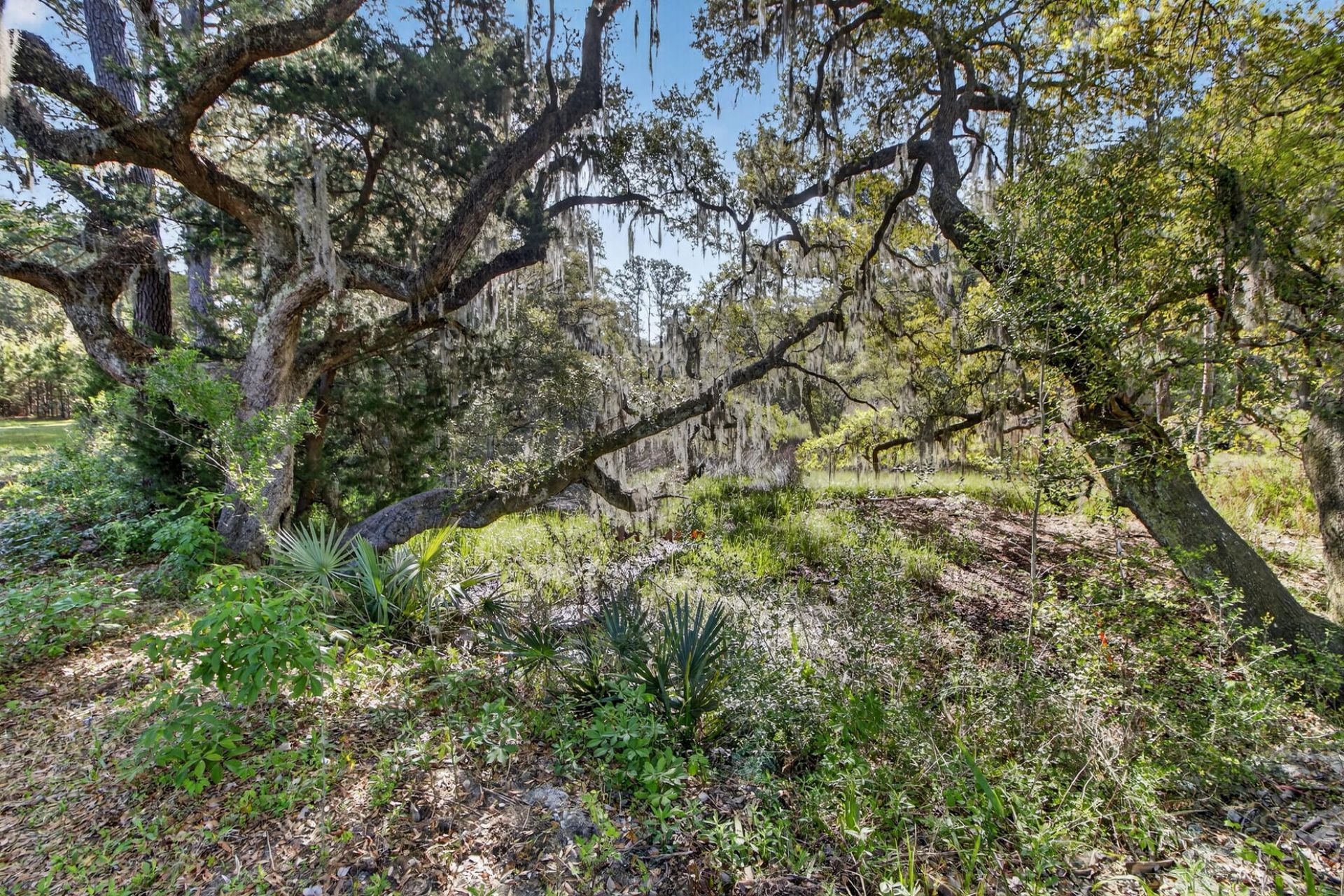 2907 River Road Photo 33