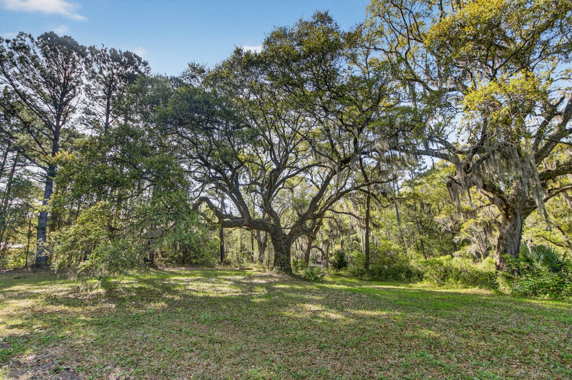 2907 River Road Photo 4