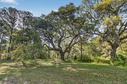 2907 River Road photo 4