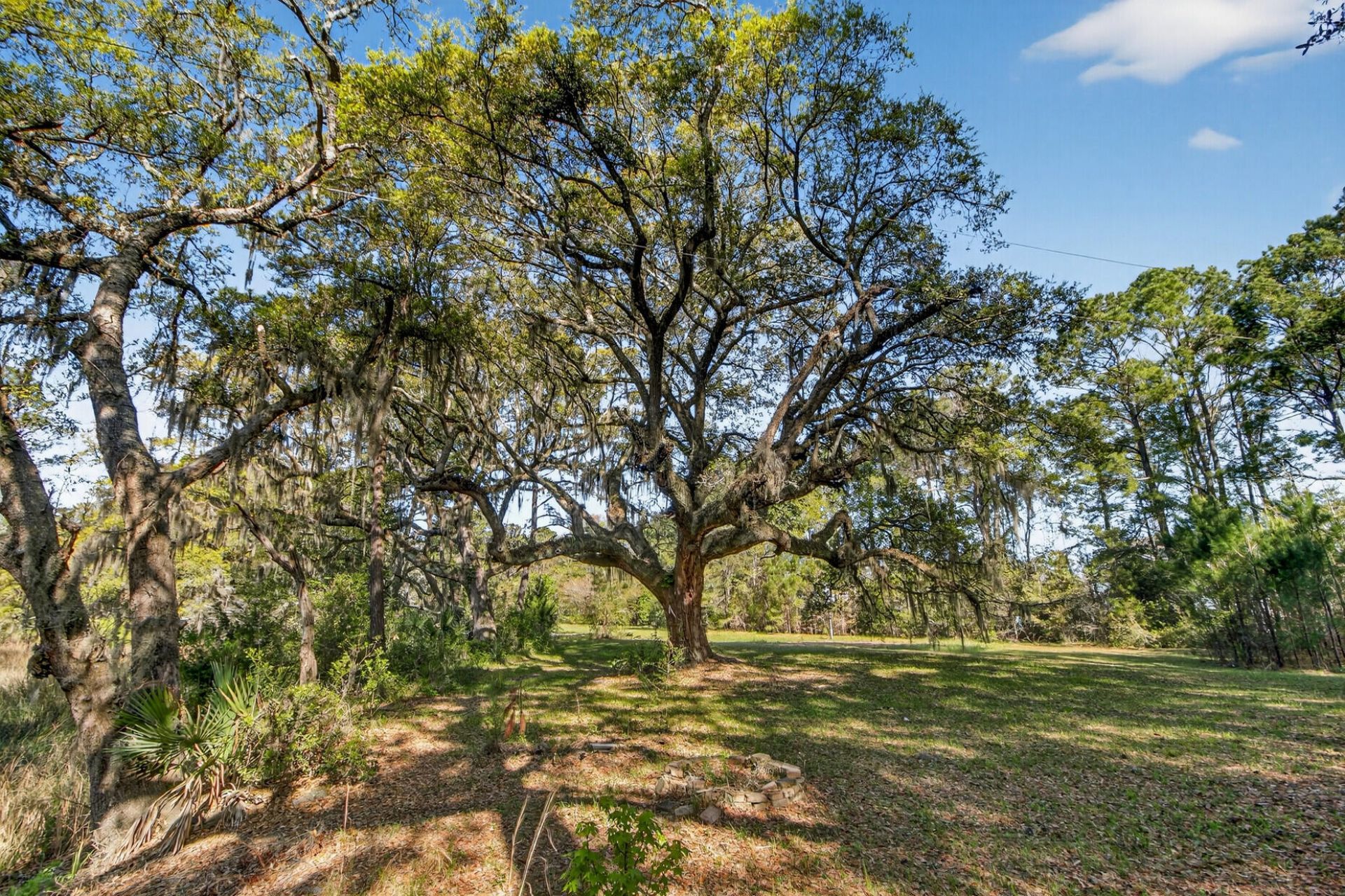 2907 River Road Photo 41