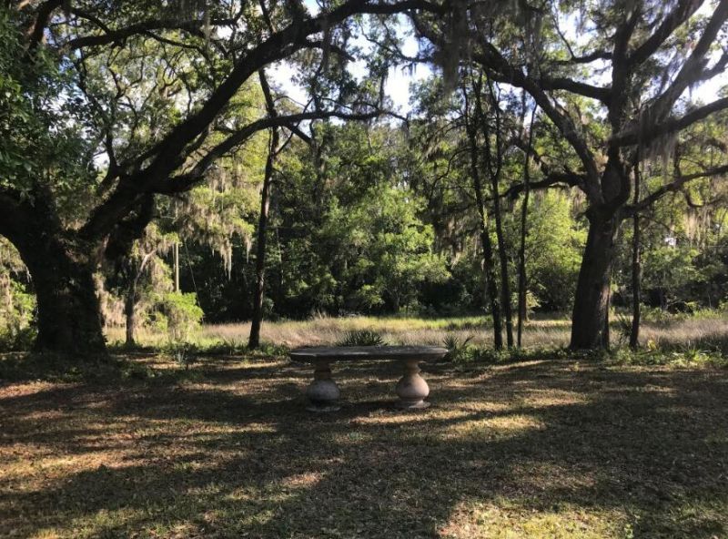 2907 River Road Photo 42