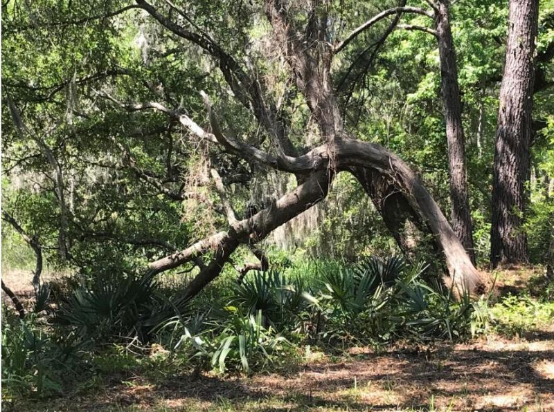 2907 River Road Photo 43