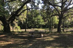 2907 River Road photo 4