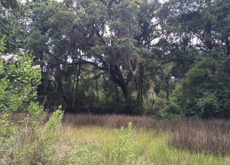 2907 River Road Photo 7
