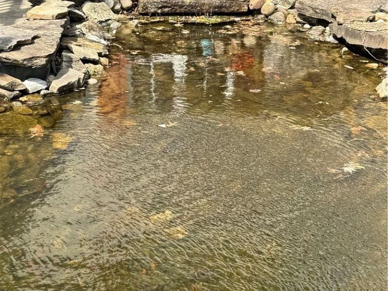 504 Greenbrier Court, Steubenville, OH 43953 Photo 39