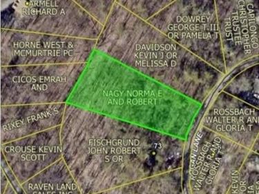 BOGAN , MOUNT JACKSON, VA 22842