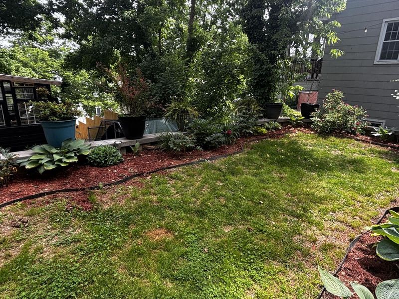 31 W Fourth Street, Maysville, KY 41056 Photo 7