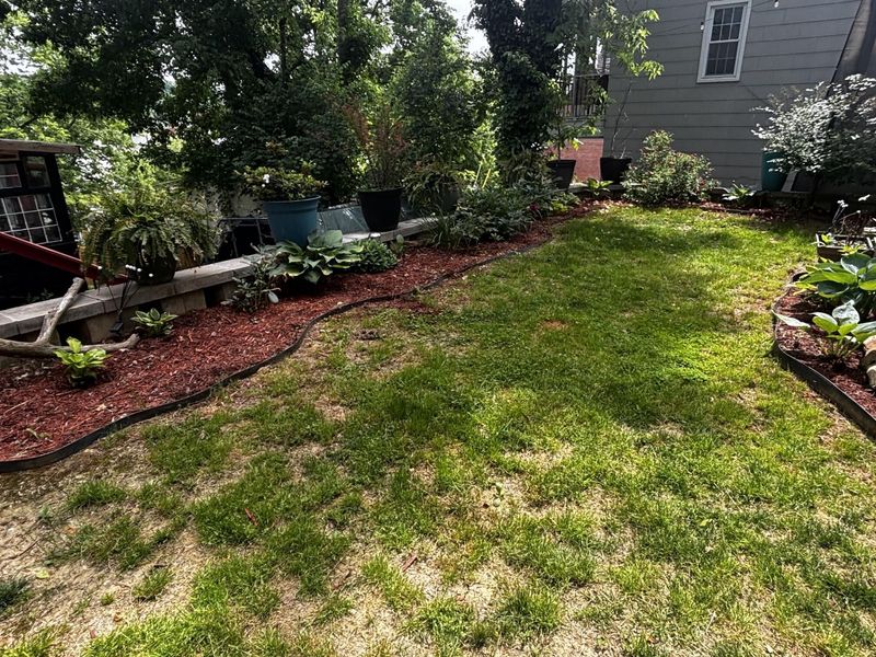 31 W Fourth Street, Maysville, KY 41056 Photo 8