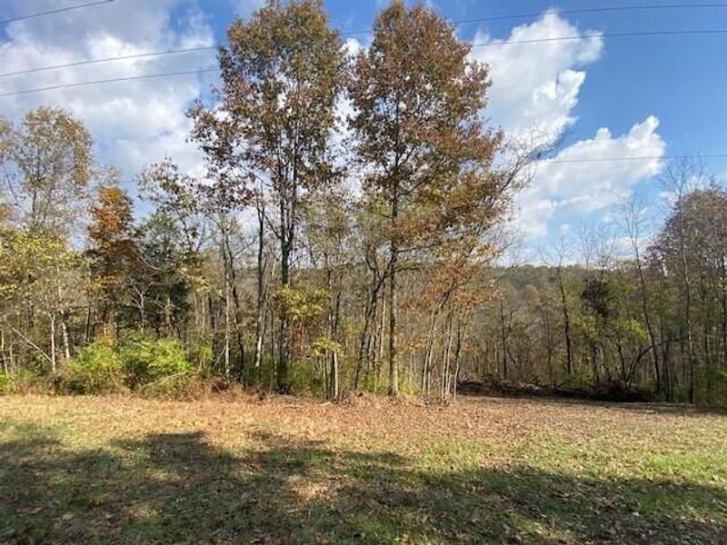 755 Galbraith Road, Brooksville, KY 41004 Photo 1