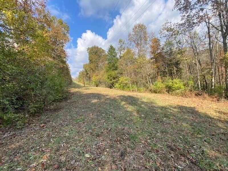 755 Galbraith Road, Brooksville, KY 41004 Photo 3