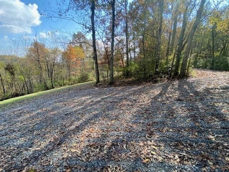 755 Galbraith Road, Brooksville, KY 41004 Photo 4