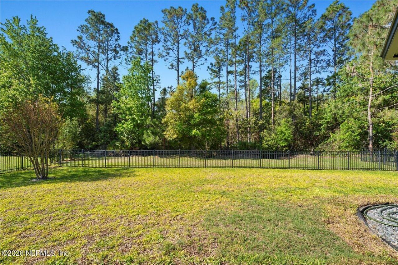 4138 Carriage Crossing Lane, Orange Park, FL 32065 Photo