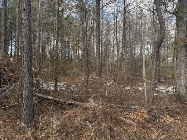 0000 Carolyn Lane , Mabelvale, AR 72103