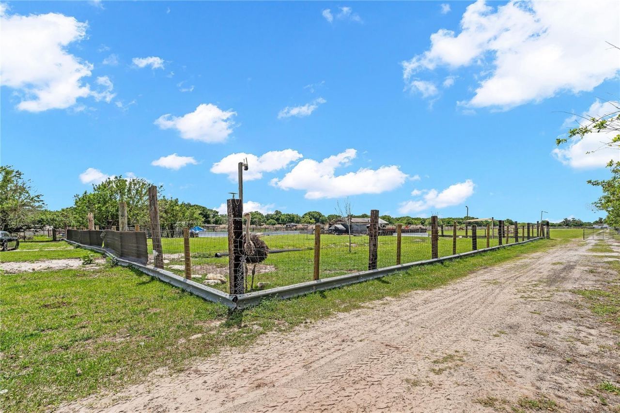 1321 Bluff Hammock Road , Lorida, FL 33857 Photo