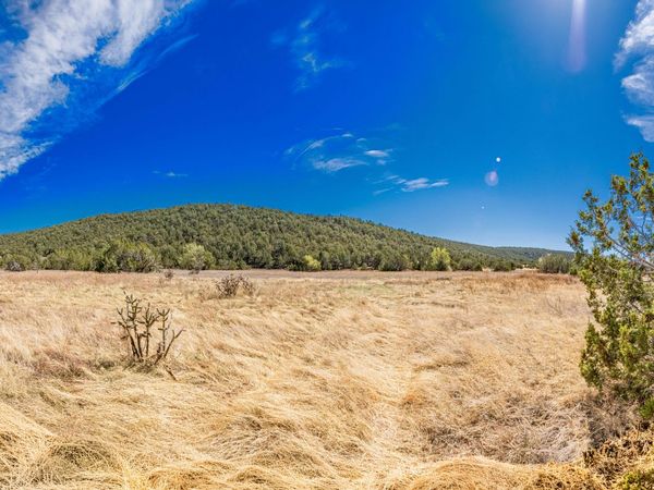 70 Vidalia Road , Edgewood, NM 87015