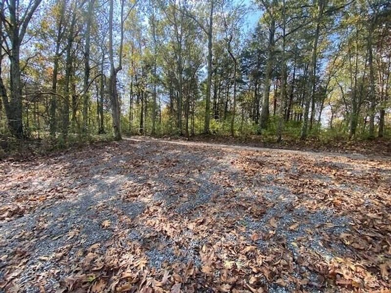 697 Galbraith Road, Brooksville, KY 41004 Photo 1