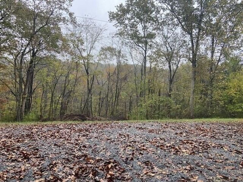 697 Galbraith Road, Brooksville, KY 41004 Photo 2