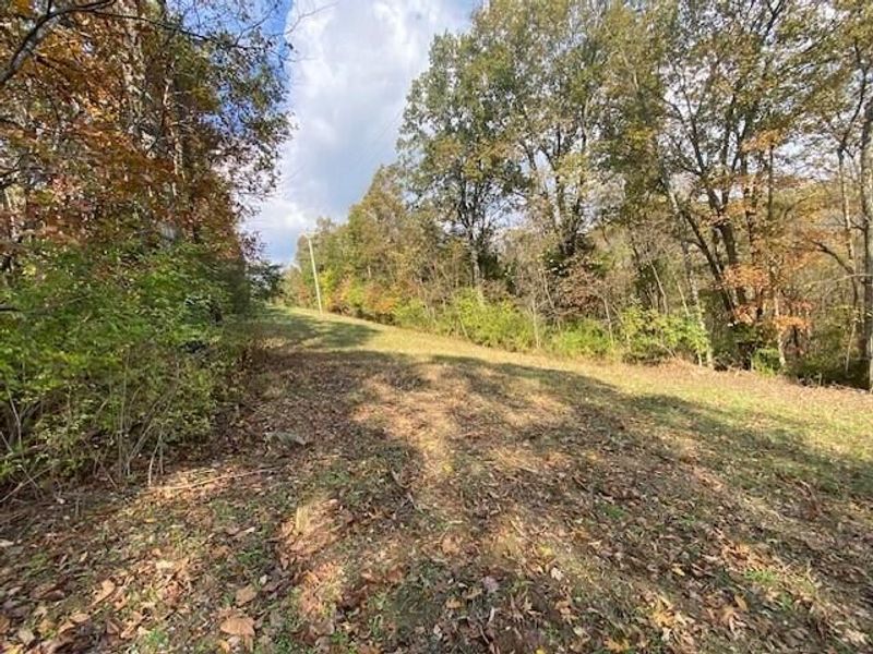 697 Galbraith Road, Brooksville, KY 41004 Photo 3