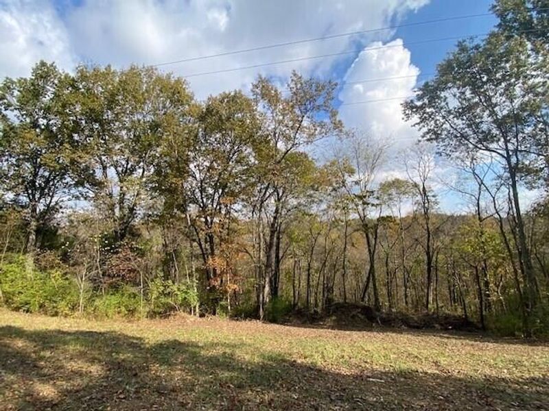 697 Galbraith Road, Brooksville, KY 41004 Photo 4