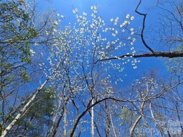 284 Oriole Drive , Lake Lure, NC 28746