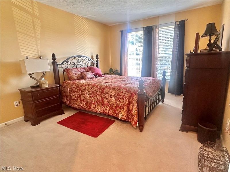 6062 White Tail Lane, Lorain, OH 44053 Photo 17