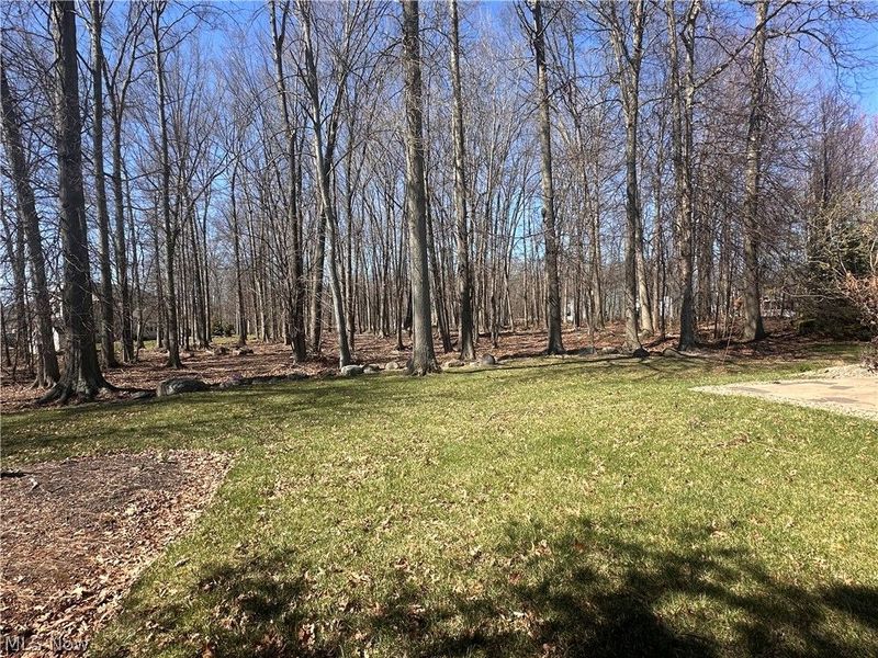 6062 White Tail Lane, Lorain, OH 44053 Photo 23