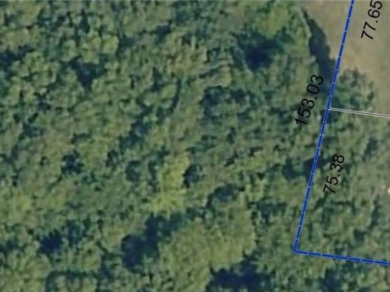 6062 White Tail Lane, Lorain, OH 44053 Photo 34