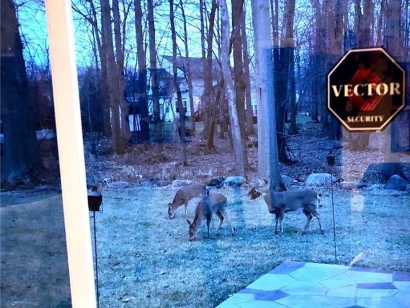 6062 White Tail Lane, Lorain, OH 44053 Photo 35