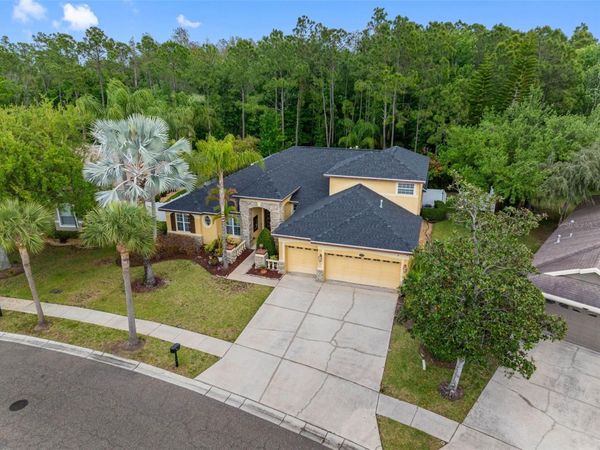 16750 IVY LAKE DRIVE , ODESSA, FL 33556