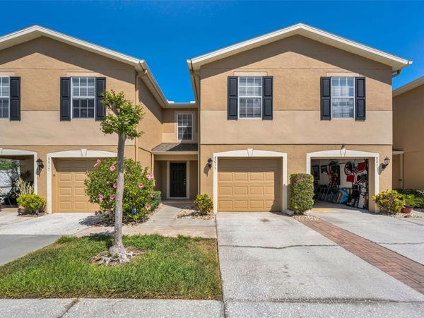 8015 SAVANNAH SUNSET LANE, TAMPA, FL 33615