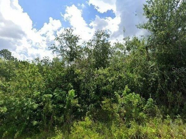 2336 DRENNON STREET , PORT CHARLOTTE, FL 33953