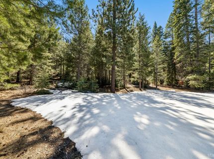 1655 Pebble Beach Drive, South Lake Tahoe, CA 96150 Photo