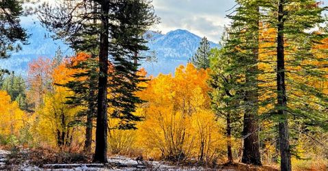 1655 Pebble Beach Drive, South Lake Tahoe, CA 96150 Photo