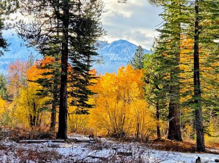 1655 Pebble Beach Drive, South Lake Tahoe, CA 96150 Photo