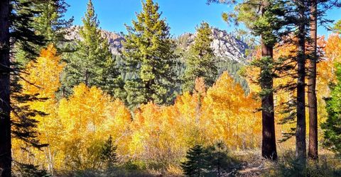 1655 Pebble Beach Drive, South Lake Tahoe, CA 96150 Photo