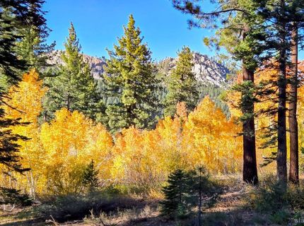 1655 Pebble Beach Drive, South Lake Tahoe, CA 96150 Photo