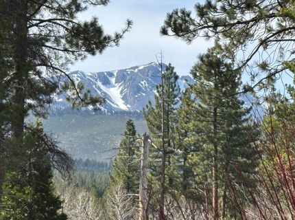 1655 Pebble Beach Drive, South Lake Tahoe, CA 96150 Photo