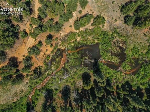 29545 Highway 67, Woodland Park, CO 80863