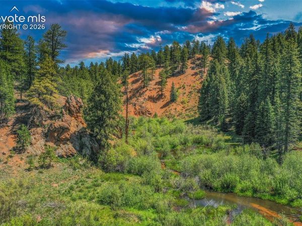 29545 Highway 67, Woodland Park, CO 80863
