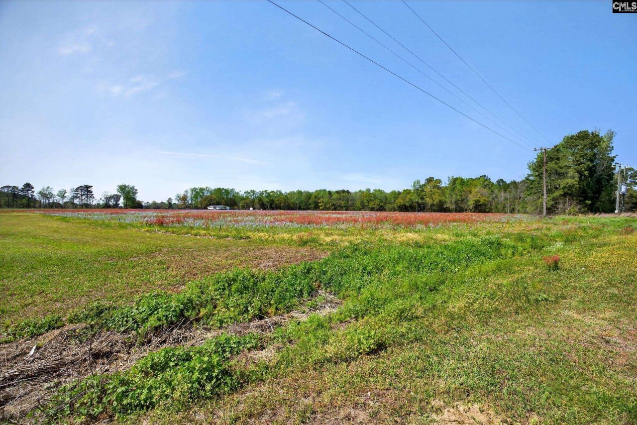 17583 Hwy 301 S Photo 36