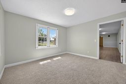 17583 Hwy 301 S photo 4