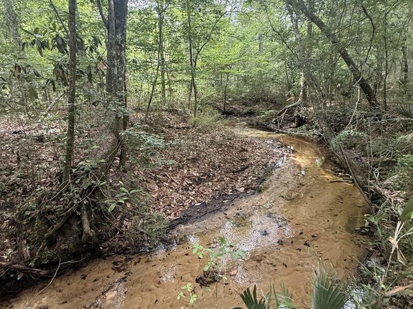 0 Lincoln Drive, Chattahoochee, FL 32324
