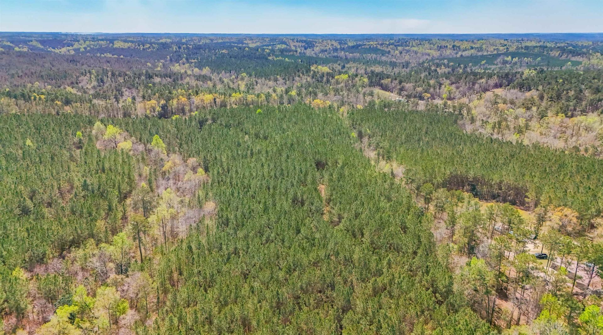 X Lincoln Drive, Chattahoochee, FL 32324 Photo