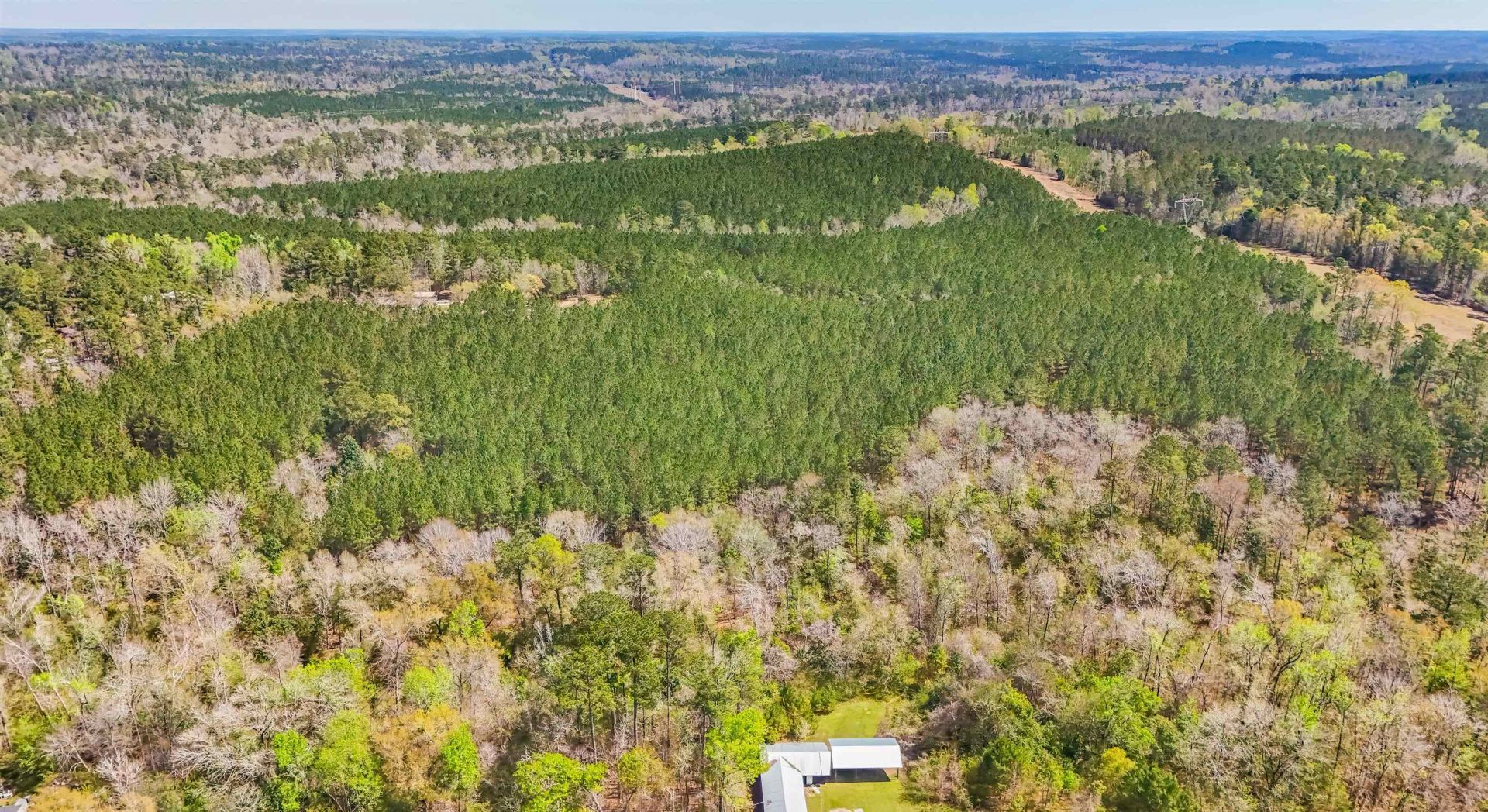 X Lincoln Drive, Chattahoochee, FL 32324 Photo